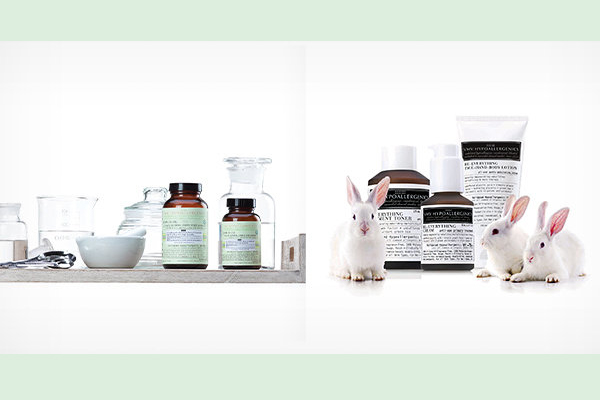 VMV HYPOALLERGENICS