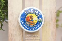 Badger Company, オーガニック アロマティック チェスト ラブ, ユーカリ & ミント